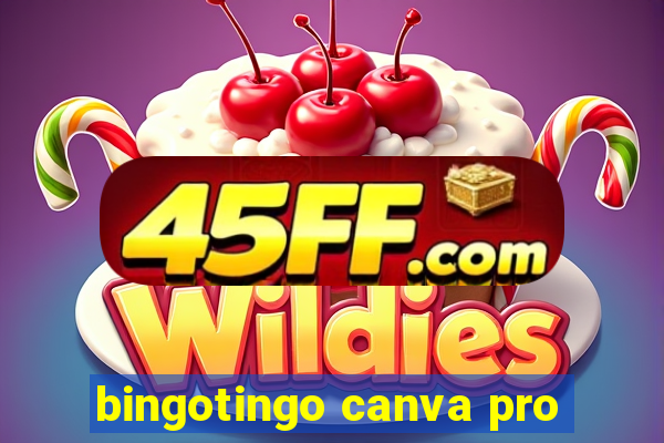 bingotingo canva pro